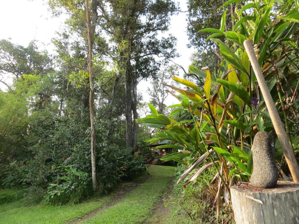 Carson'S Kaloko Mountain Cabin Kailua-Kona Luaran gambar