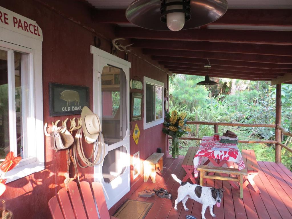Carson'S Kaloko Mountain Cabin Kailua-Kona Bilik gambar